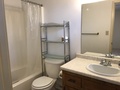 Img 0053